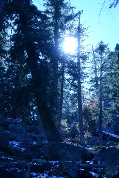 DSC_5067 (Large).JPG